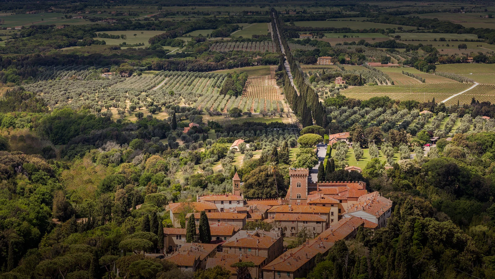 Aerial view of Bolgheri village, the cypress avenue and surrounding vineyards