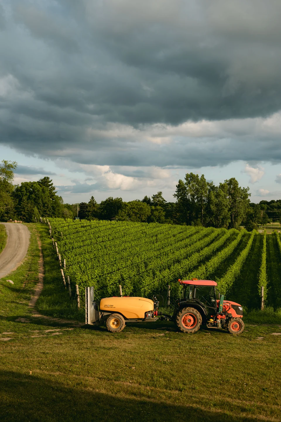 A red tractor beside green vineyard rows under a cloudy sky